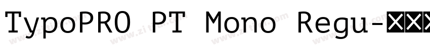 TypoPRO PT Mono Regu字体转换